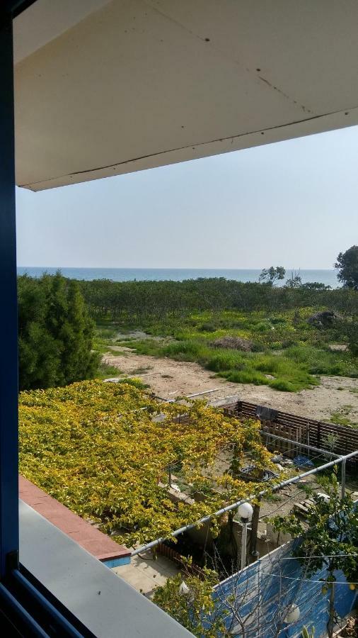Il Mare Villa Lárnaka Eksteriør bilde