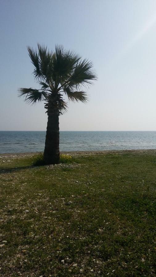 Il Mare Villa Lárnaka Eksteriør bilde